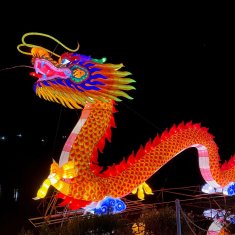 chinese dragon at lantern festival