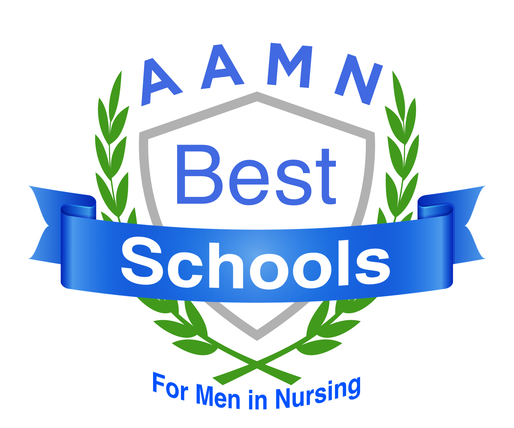 AAMN Best School logo