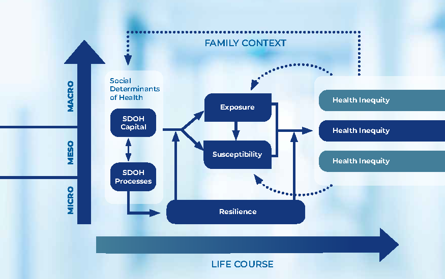 SDOH framework