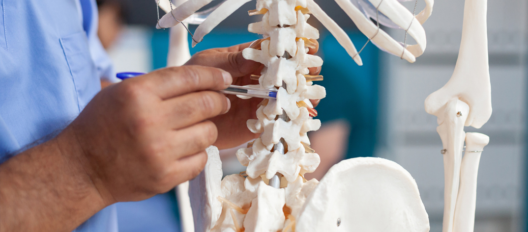 Orthopedic instructor points to spine