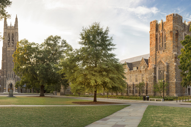 Tree on Duke Campus near Chapel
