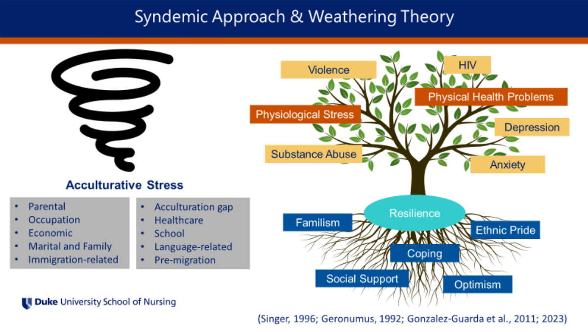 Syndemic Approach Graphic