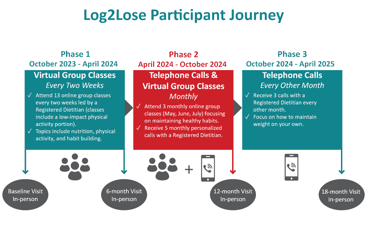 Log2lose participant timeline