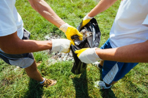 park clean up