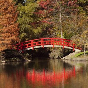 Red bridge