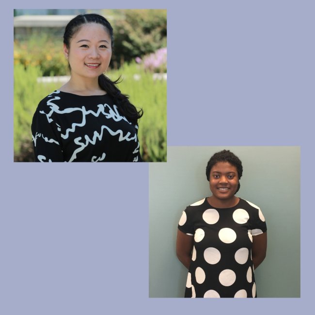 Wei and Wright-Freeman