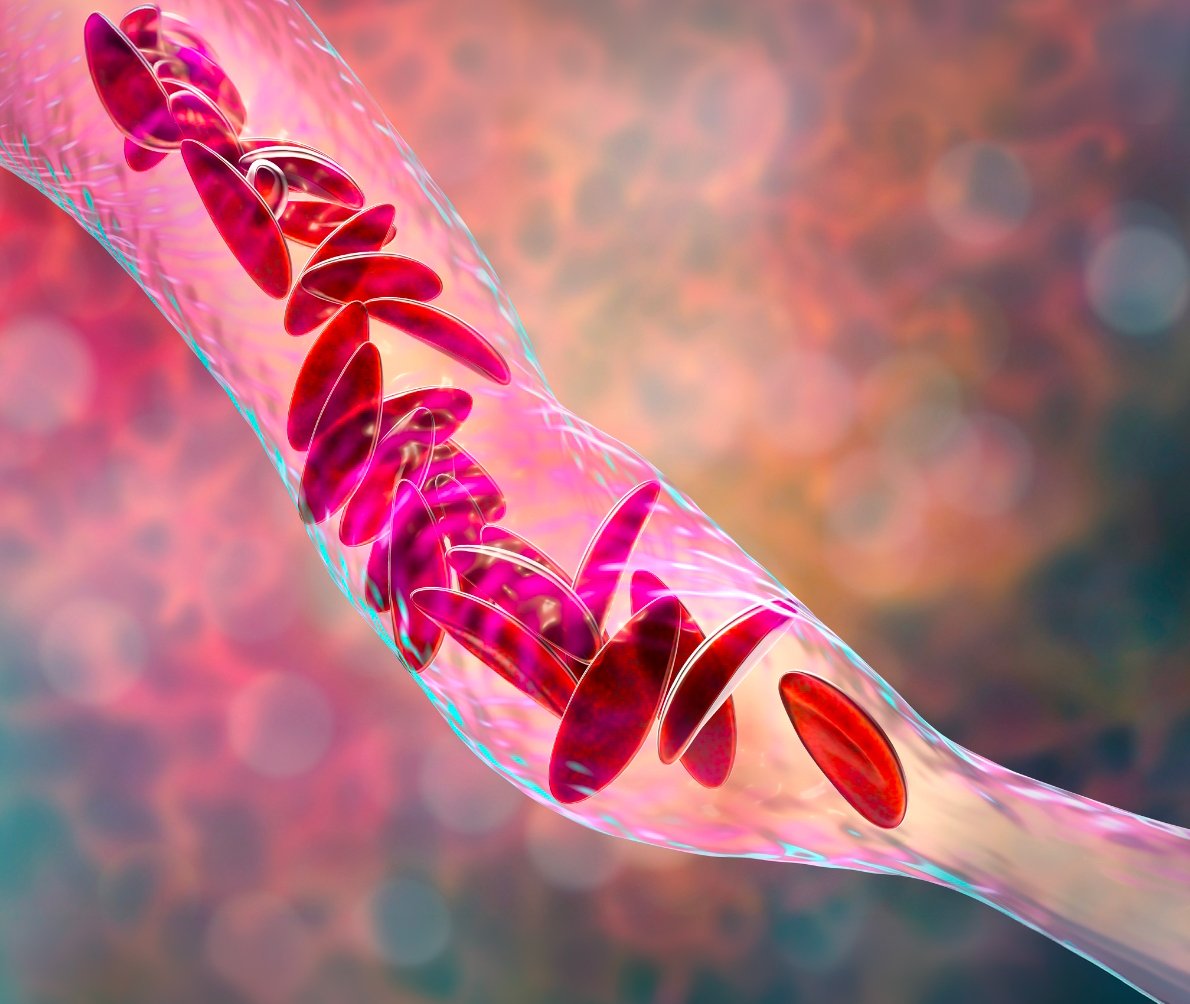 A graphic of a blood vessel with red blood cells.