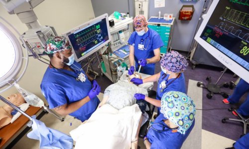 Nurse Anesthesia Simulation