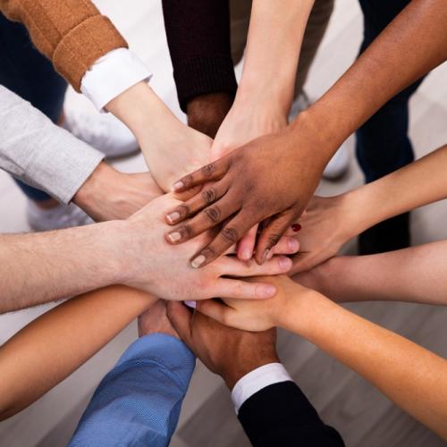 diverse group of hands