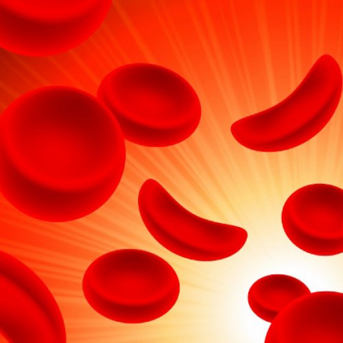 ohapi principles with sickle cell